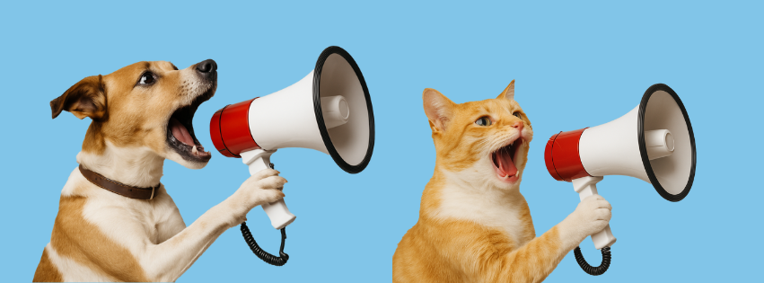 Petzuva featured image